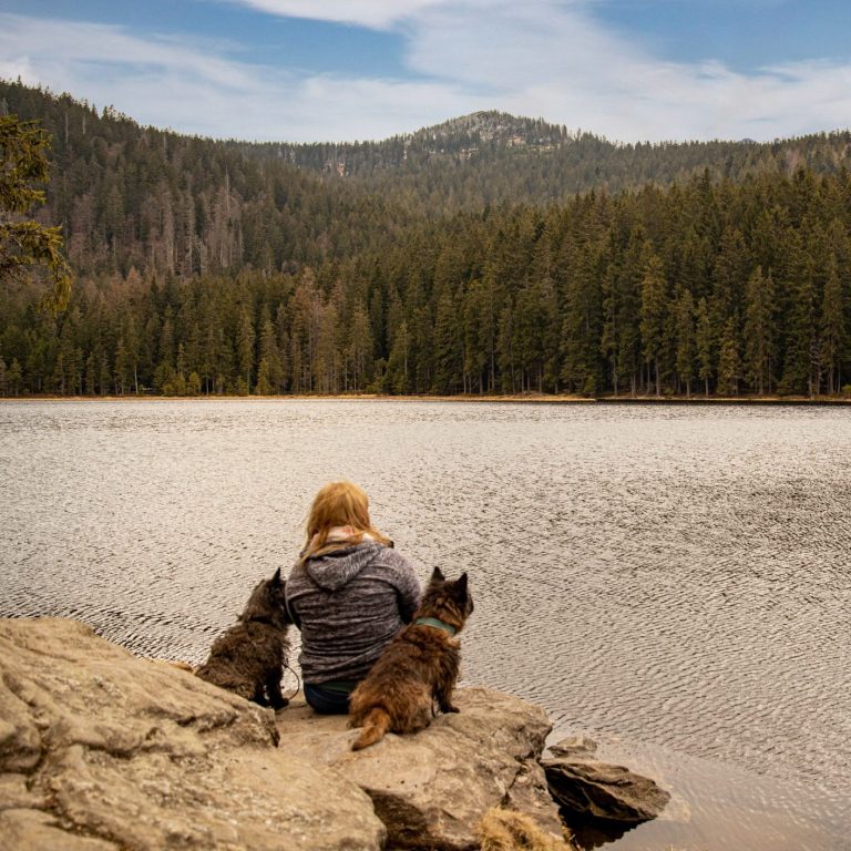 Tierphysiotherapeutin Andrea Knoll mit ihren Hunden mit Blick auf einen See, im Hintergrund sieht man die Berge